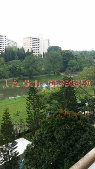 Blk 101 Clementi Street 14 (Clementi), HDB 4 Rooms #110479162